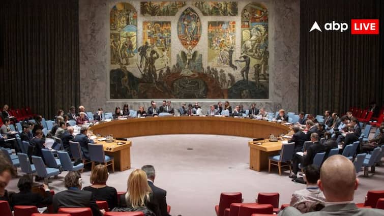 Pahalgam Terror Attack Pakistan weakened UNSC statement with the help of China report claims