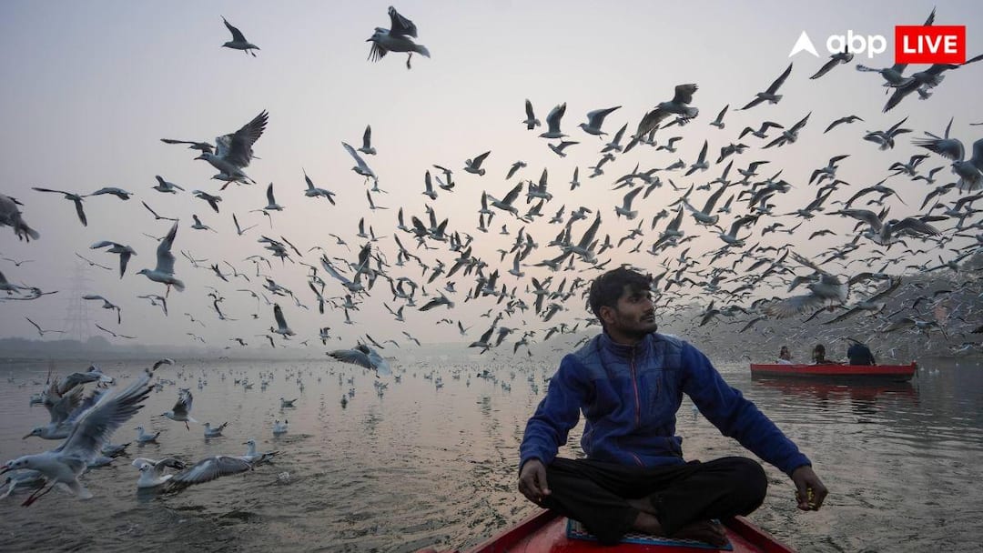 नए साल पर कैसा रहेगा मौसम का मिजाज, दिल्ली यूपी बिहार समेत जानें देश का हाल