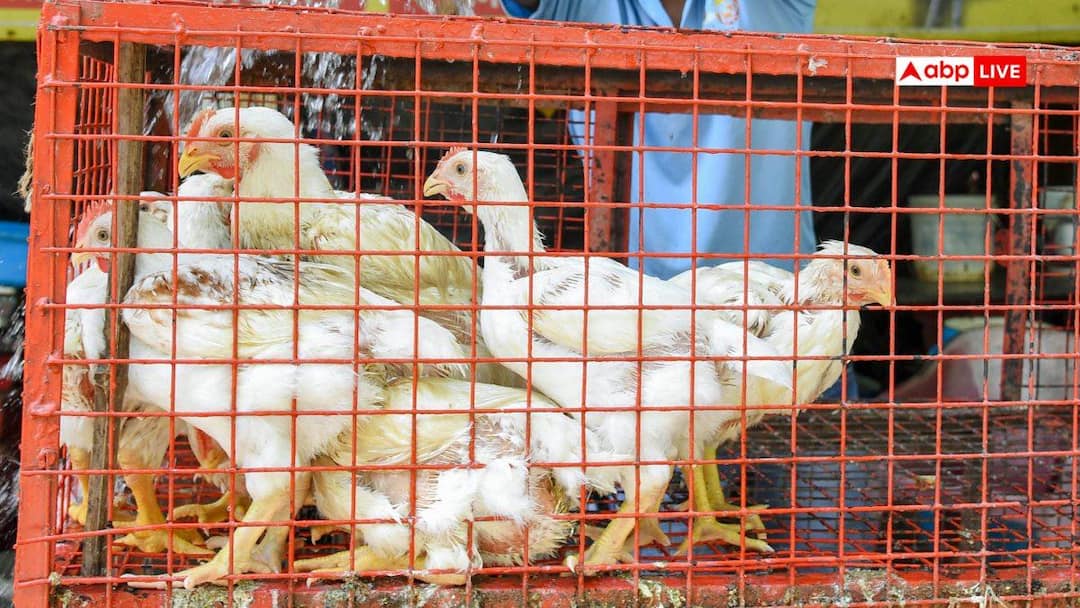 मिडिल ईस्ट संकट: नॉनवेज खाने वालों को बड़ा झटका, अनिश्चितकालीन हड़ताल पर चिकन दुकानदार