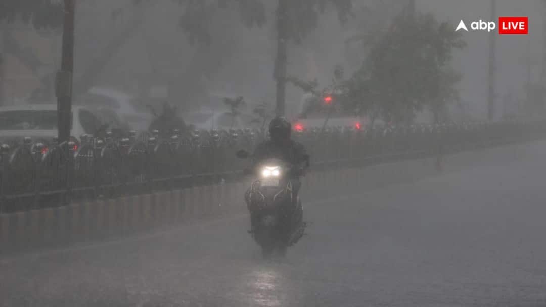 Tamil Nadu Power Outage: एक्टर विजय की TVK सरकार के सामने सबसे बड़ा संकट, मानसून के आते ही अघोषित बिजली कटौती से पूरा राज्य अंधेरे में, जनता सड़कों पर