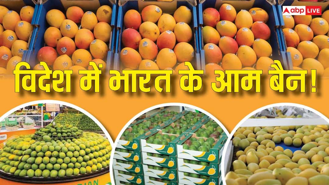 Explained: जापान के बाद नेपाल में भारत के आम बैन क्यों? जो हम खाते, विदेश में छू भी नहीं रहे, माजरा क्या?